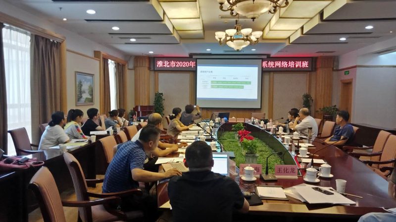 网络课程适合小学生吗