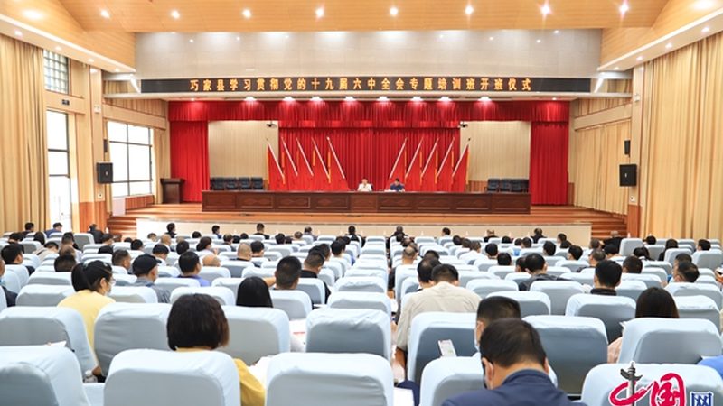 教师资格证培训机构加盟品牌排名